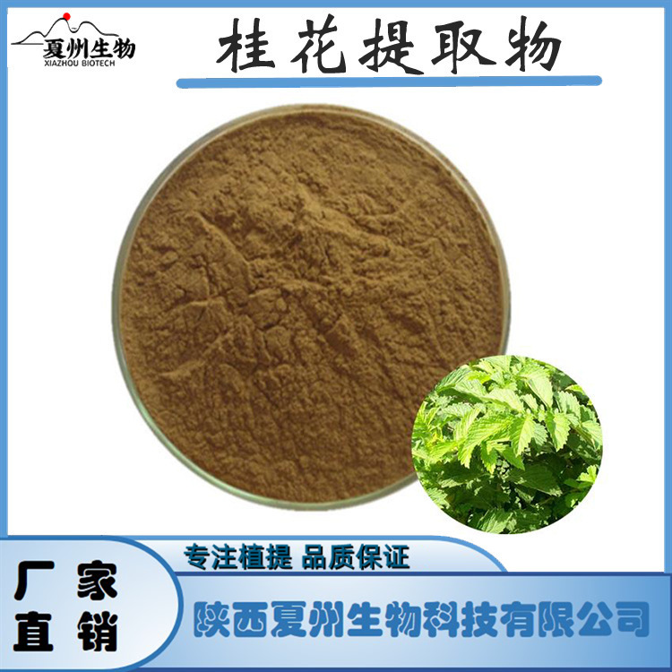 桂花提取物10/20/30:1 岩桂 夏州生物 棕黄色粉末 现货 公斤装