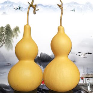 . Natural Large Gourd with Tap Ornaments Extra Large Natural Giant Large Feng Shui Ornaments Gourd Wen Play Hanging