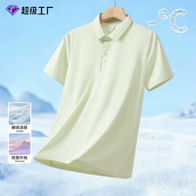 ���M�_Ʊ���z����polo����ʿ����t��2026�ļ��¿�͸�⌒�Ƀȴ���