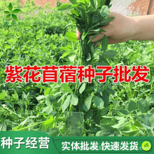 �ϻ���ޣ�ݷN�ӽ��s�̲��~���ļ����N�����������u���Zţ��ݷN��