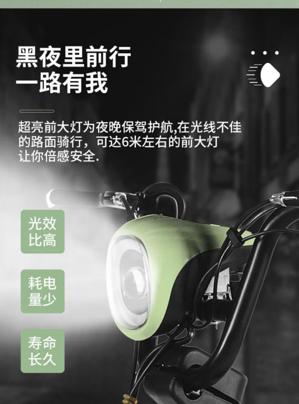 2025 New National Standard Electric Bicycle for Adults