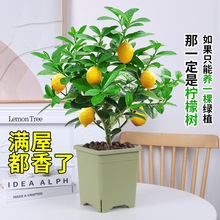 ��ˮ���ʘ�������ˮ�����ʿ�ʳ���҃ȿ͏d�Gֲ���ļ����B���㎧��