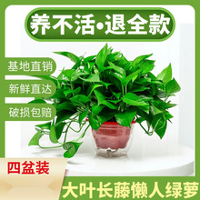 G}ֲ҃M՚ˮGֲLٴGjlSl