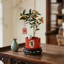 ���������ԾGֲ����͏d�҃��ļ��ͺ���ۺ��B�����辰ֲ��S��