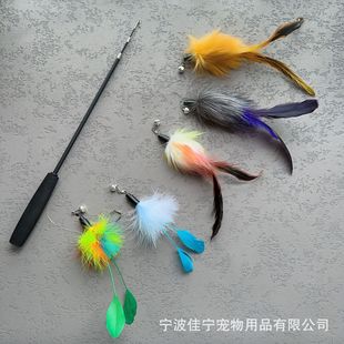������s��؈������β��ë�q��Q�^��ɫ��ë��؈�U�����؈����