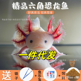 ���ǿ����~��ˮ�^�p�~ϔ�ˮ�匙����w��������ˮ���B�׻�W�t�~