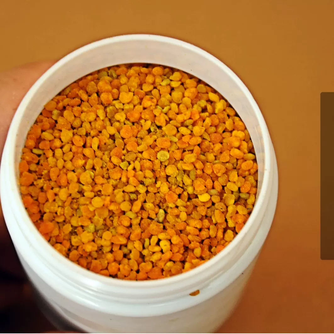 蜂花粉天然野菊花花粉源头农场食用未破壁蜂花粉颗粒一件批发