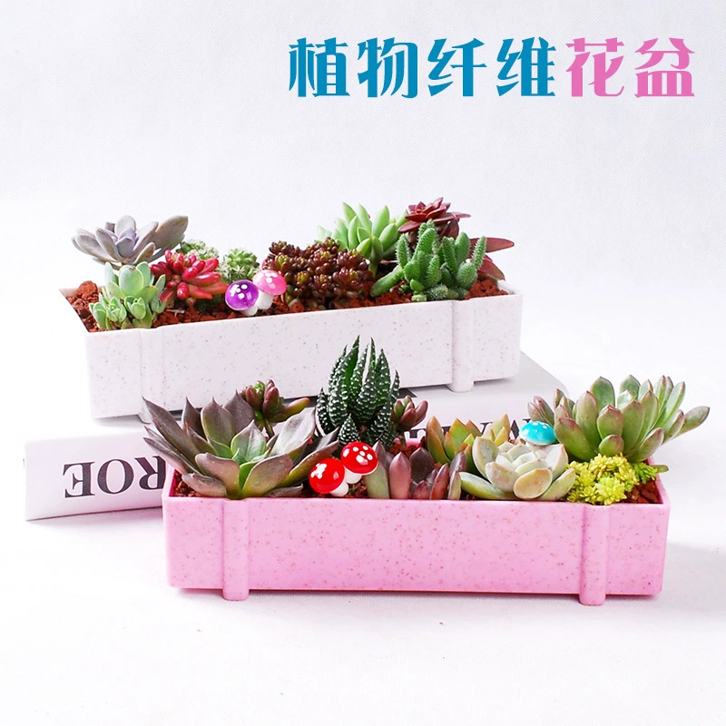 Растительные волокна Мясистый цветочный горшок Прямоугольный креативный мясистый комбинированный костюм Цветочный горшок Мясистое растение Пластиковый цветочный горшок