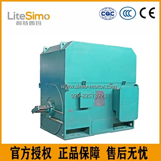 泰富西玛厂YXKS6303-12 900KW 6KV石油 B5三相异步电机