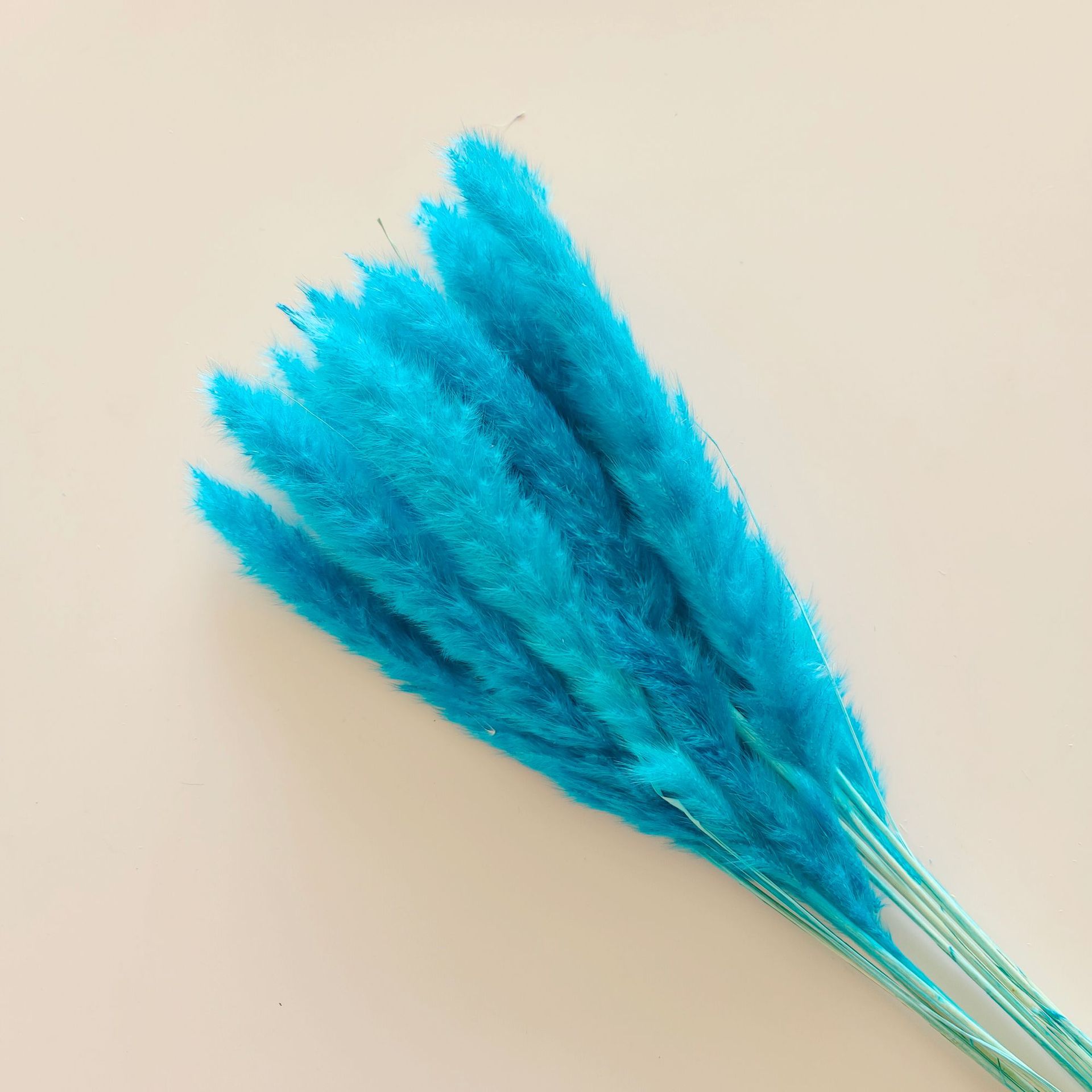 레이크 블루 15가지