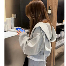 330g���� �׽���� �̿�����l�������_��2025�¿�㼑��L