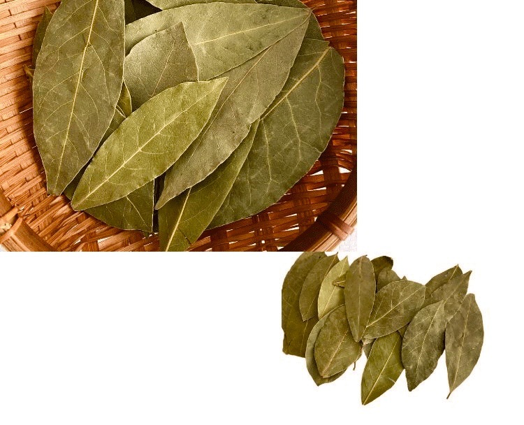 6ee28c998b379dfd4c8c509682869a