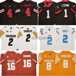 Longhorn Football Jersey, Seven-Leaf Tree Team College Edition Embroidered Jersey, Buffalo Team Training Uniform, Volunteer Team 4 #
