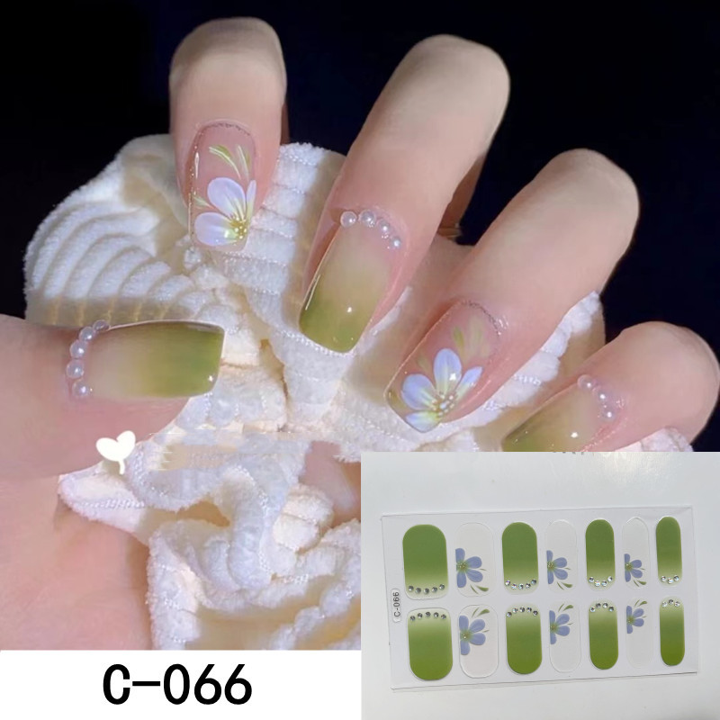 C-066