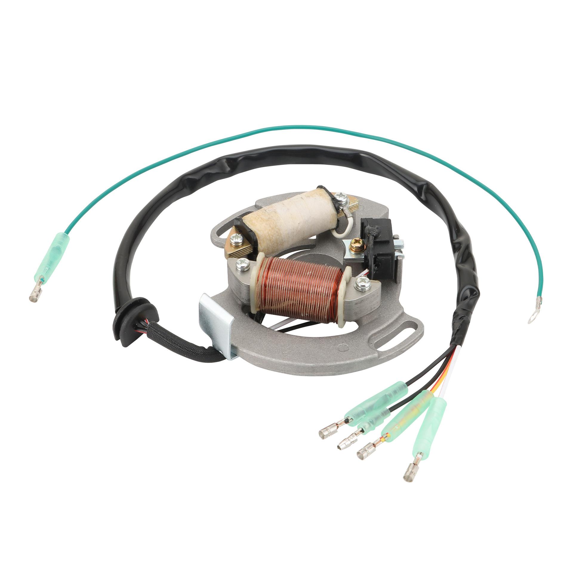 Stator Ignition Coil Parts Suitable for Yfs200 Shockwave 1990-2002 3Jm-85560-00