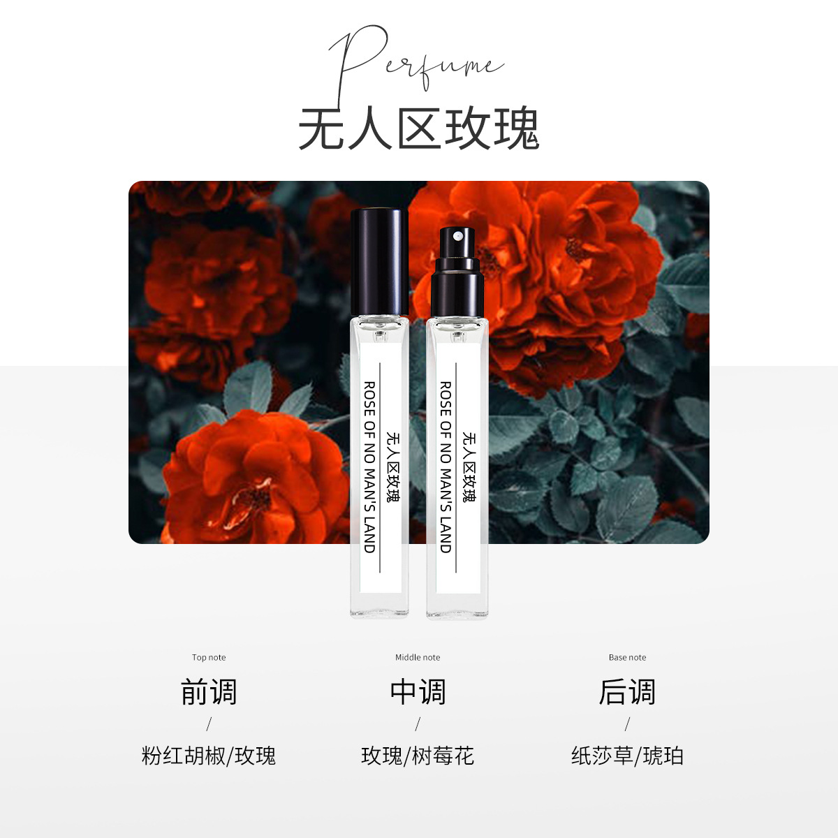 노맨즈랜드 로즈