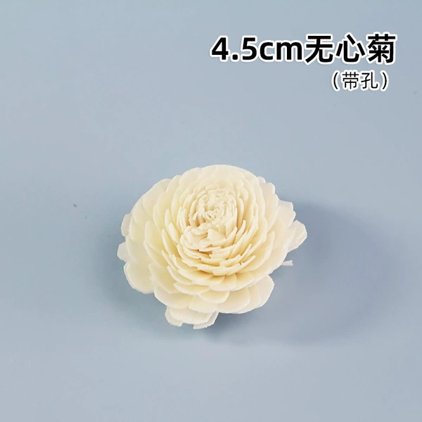Unintentional chrysanthemum (1)