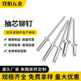 国标铝铁拉钉抽芯铆钉开口抽芯铆铝抽芯铆钉拉铆钉铝铆钉现货批发