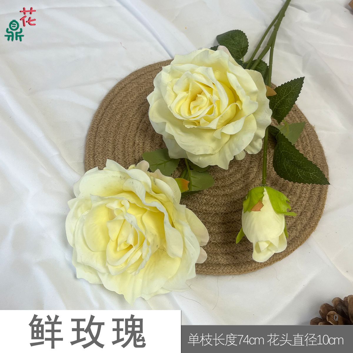 프레시 로즈 Q 옐로우