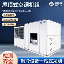 锐劲特（RISITA）屋顶式空调机组精密蒸发式制冷工业冷风机换热