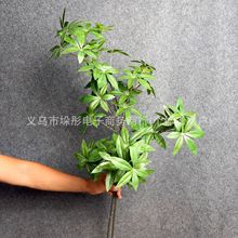 �羳����lؔ���~�Ҿӿ͏d�b�c�����쾰�~�ӹ��S���l���R�d