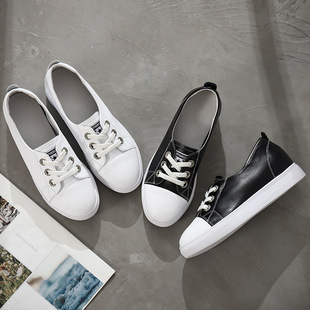 2026�¿�\�������С��ЬŮ͸���@�����e�W������һ�_�Ű�Ь��