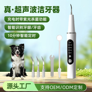 Customized Ultrasonic Dental Cleaner for Pets, Dog and Cat Tartar and Plaque Removal, Oral Cleaning and Care