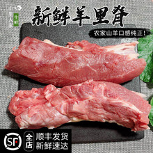 新鲜羊肉500g羊里脊肉放养山羊无骨纯羊肉羊柳羊瘦肉嫩肉宝宝辅食
