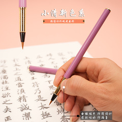 Pen-style brush calligraphy student small regular script beautiful pen copy scripture brush wolf hair beginner portable ink sac soft brush wholesale