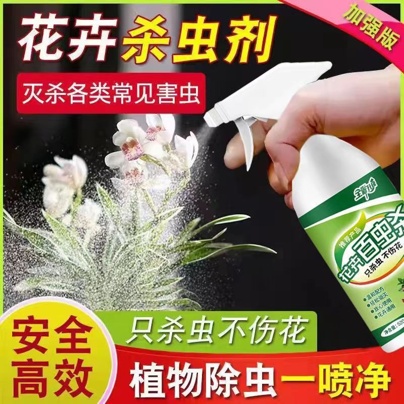 Flower and Plant Insecticide, General Green Plant Insecticide, Succulent Rose Aphid, Small Black Fly, Red Spider Insecticide