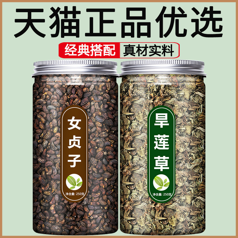 女贞子材组合茶女真子墨旱莲和旱莲草加菊花菟丝子粉