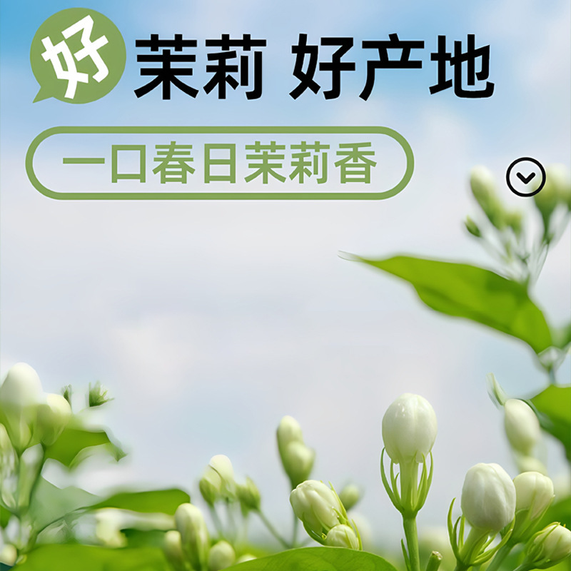 邮邮农品茉莉奶绿奶茶门店同款伯牙绝弦茉莉雪芽冲调饮品|undefined