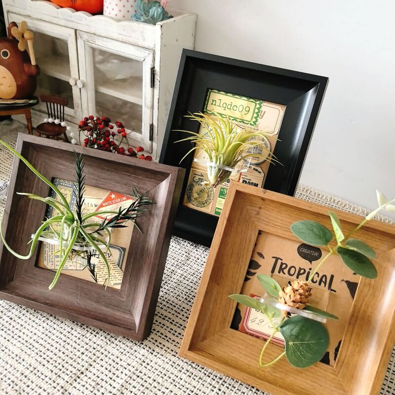Air Pineapple Green Plant Photo Frame Wall Hanging Table Square Medieval Picture Frame Display Frame Retro High-End Empty Frame