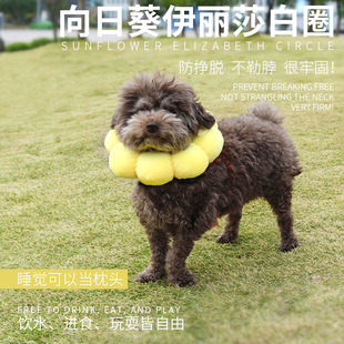 Sunflower Cotton-filled Elizabeth Ring Cosmetic Anti-licking Headgear Postoperative Cosmetic Ring Crystal Super Soft Cat Headgear