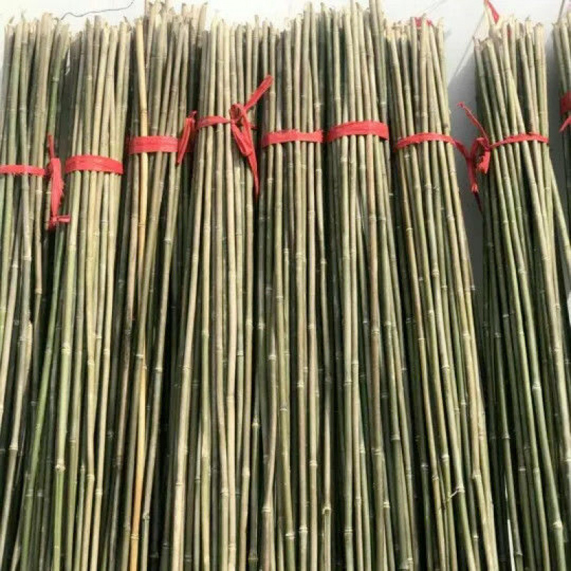 竹竿菜园搭架竹子户外旗杆黄瓜豆角爬藤菜架竹杆支架豇豆搭架杆|undefined