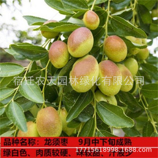 ���ţ�̗���旗����ᶬ��������ϱ����Nֲ���䮔��Y������