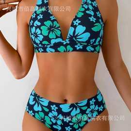 2026新款时尚性感分体印花泳装聚拢胸型凸显身材欧美跨境性感泳装