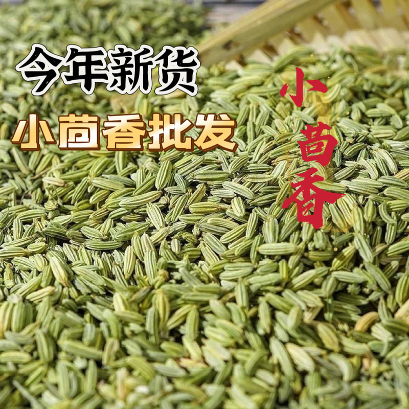 Gansu Fennel Spice Wholesale 500g Fennel Powder for Soup Flavoring, Star Anise, Aniseed, Braised Meat, Gansu Specialty Gansu Fennel Spice Wholesale 500g Fennel Powder for Soup Flavoring, Star Anise, Aniseed, Braised Meat, Gansu Specialty