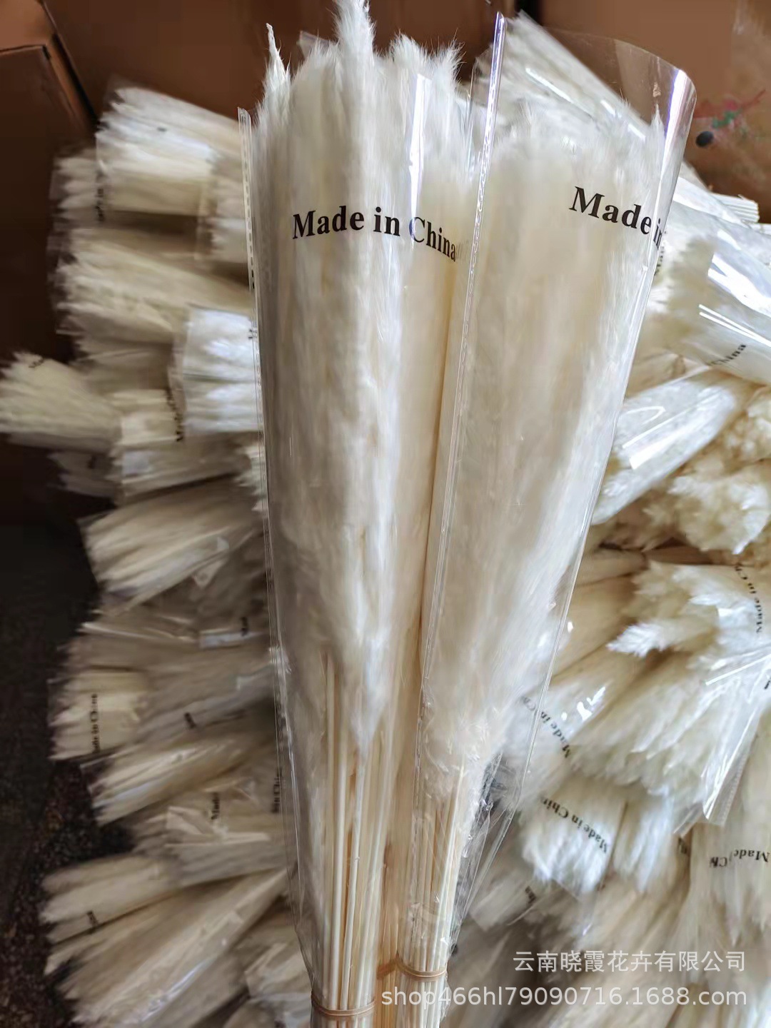 336ff486009bb290d8388cf926de3c