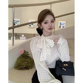 跨境韩国时尚洋气设计感衬衫秋季女装宽松长袖上衣修身女款衬衣
