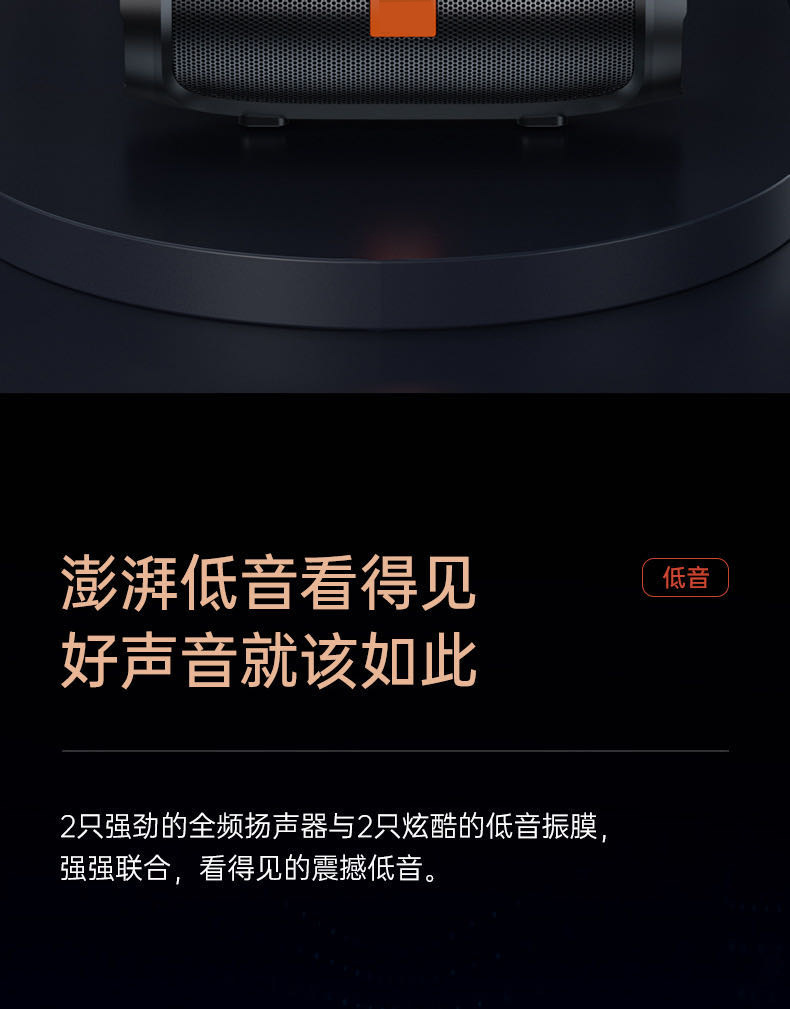 Bluetooth Wireless Speaker