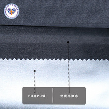 210DţTyĻ܇֎󿗑ˮڹͺ