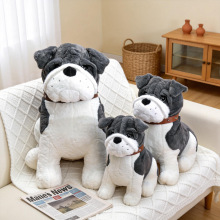 ԭ���羳�¿�ɳƤ�����г��ȹ�����ż����С����������S�����l