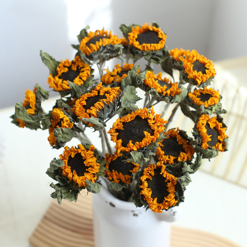 真花向日葵干花黑心泰迪太阳花干花花束厂家批发相框节庆装饰花材
