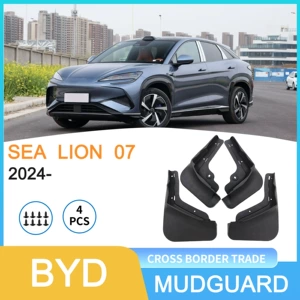 Byd Hiace Sea Lion 07 2024-cü il üçün avtomobil təkər qanadı