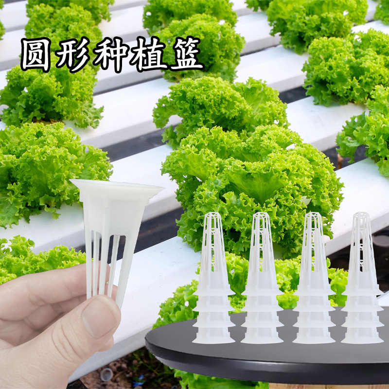 批发水培定植篮无土栽培蔬菜花卉圆形种植篮固根网盆容器跨境供应