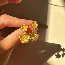 ���ͬ��¼����¿��p�������Ů��껨���hС���p�ݸ߼��ж��