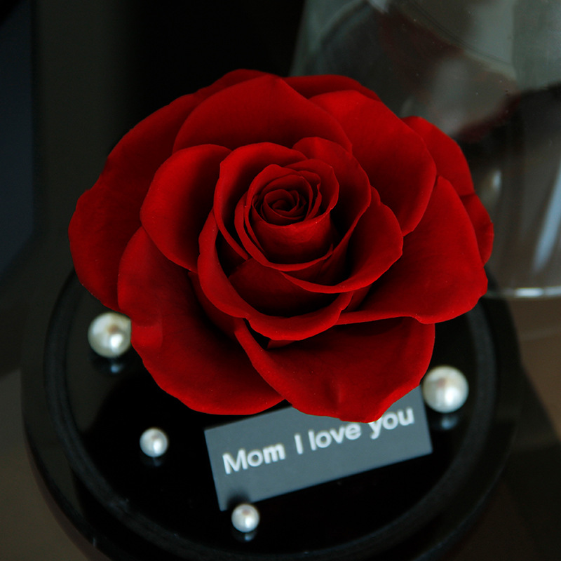 Regalo del Día de la Madre, cúpula de cristal con clavel, rosa del Principito, flor seca, regalo de cumpleaños, adorno, flor real, flor eterna