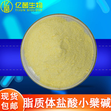 50%70%脂质体盐酸小檗碱 黄连提取物保健品原料现货脂质体小檗碱