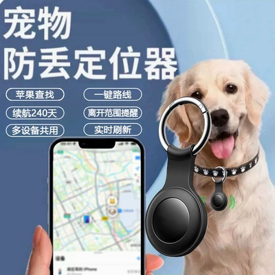 Bag Anti-Lost T-01, GPS Locator